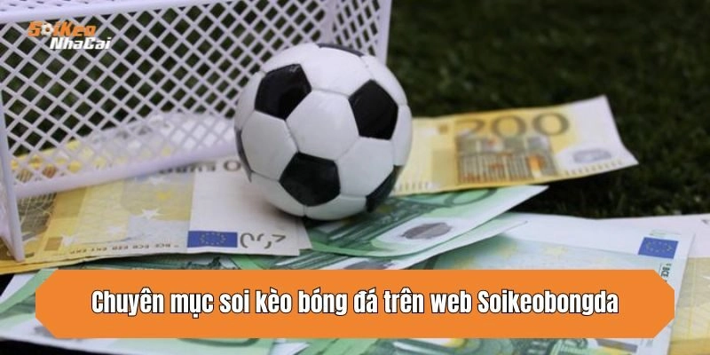 Chuyên mục soi kèo bóng đá trên web Soikeonhacai