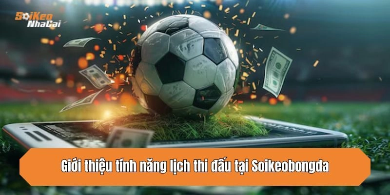 Giới thiệu tính năng lịch thi đấu tại Soikeonhacai