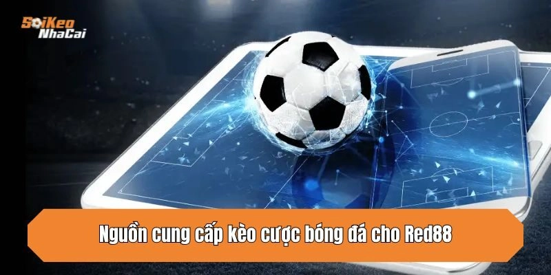 Nguồn cung cấp kèo cược bóng đá cho Red88