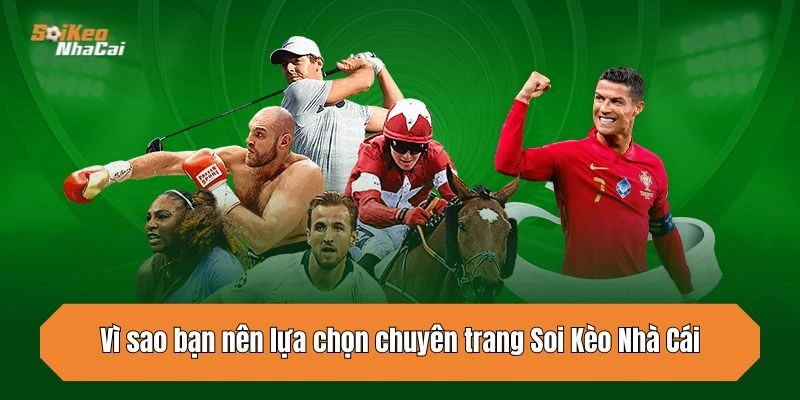 Vì sao bạn nên lựa chọn chuyên trang Soi Kèo Nhà Cái?