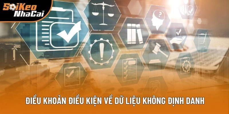 Điều khoản điều kiện về dữ liệu không định danh