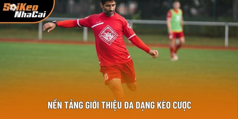 Nền tảng giới thiệu đa dạng kèo cược