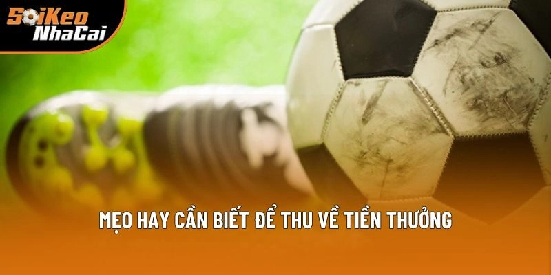 Mẹo hay cần biết để xuống tiền vào kèo cược hiệu quả, chuẩn chỉ Mẹo hay cần biết để xuống tiền vào kèo cược hiệu quả, chuẩn chỉ