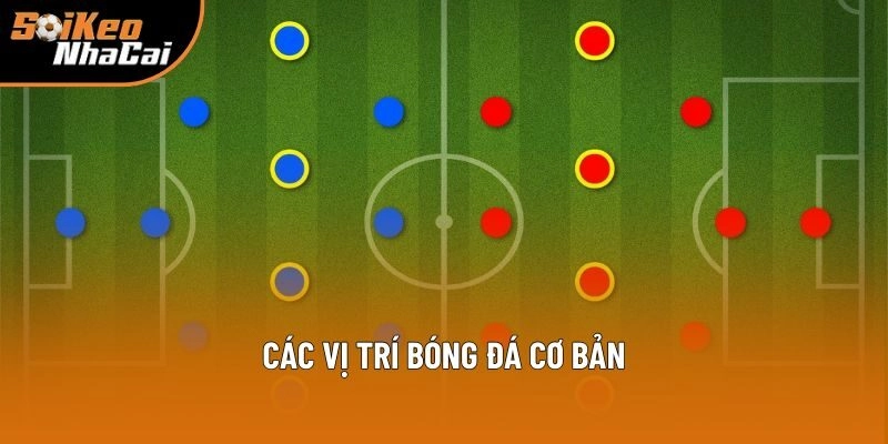 Các vị trí bóng đá cơ bản