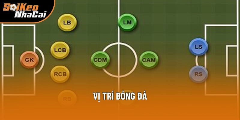 Vị Trí Bóng Đá: Làm Chủ Mọi Trận Đấu Cùng Soi Kèo Nhà Cái